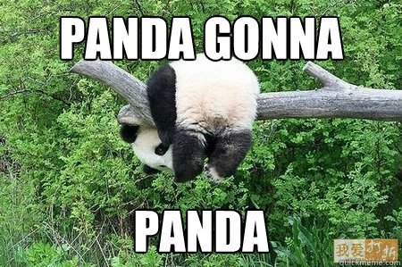 Panda gonna Panda - Panda gonna Panda  Misc