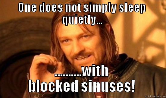 ONE DOES NOT SIMPLY SLEEP QUIETLY... ..........WITH BLOCKED SINUSES! Boromir