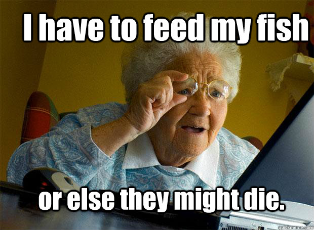 I have to feed my fish or else they might die. - I have to feed my fish or else they might die.  Grandma finds the Internet