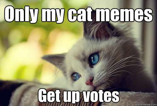 Only my cat memes Get up votes - Only my cat memes Get up votes  First World Cat Problems