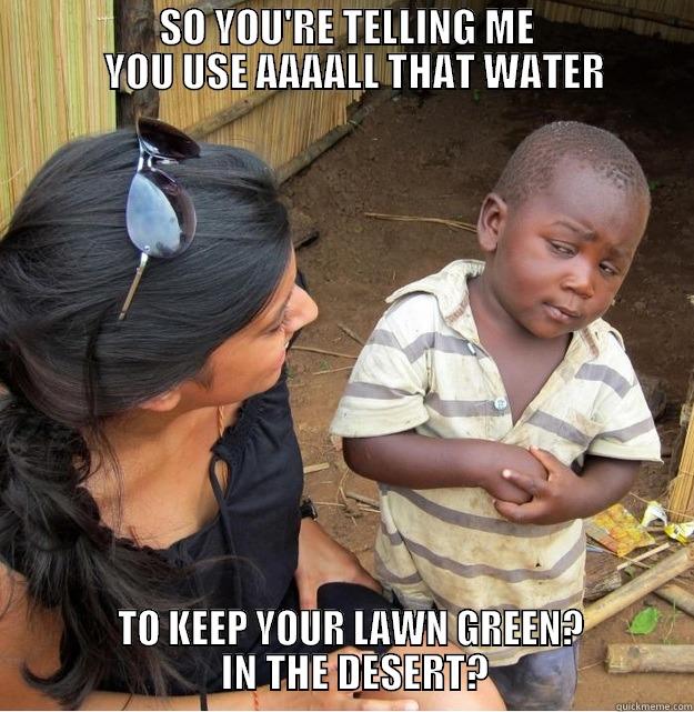                     SO YOU'RE TELLING ME                       YOU USE AAAALL THAT WATER            TO KEEP YOUR LAWN GREEN?                                      IN THE DESERT?                          Skeptical Third World Kid