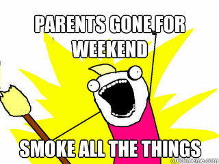 Parents gone for weekend Smoke all the things  