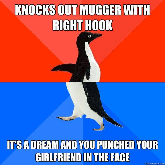 Knocks out mugger with right hook It's a dream and you punched your girlfriend in the face  Socially Awesome Awkward Penguin