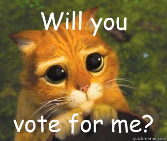 Will you vote for me?  