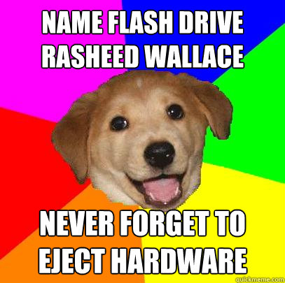 name flash drive rasheed wallace never forget to eject hardware  Advice Dog