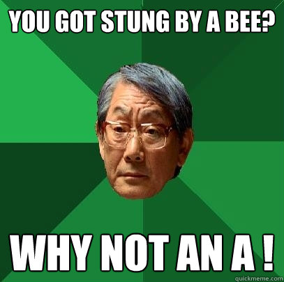 you got stung by a bee? WHY NOT AN A !  High Expectations Asian Father