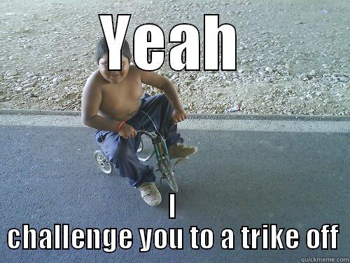 YEAH I CHALLENGE YOU TO A TRIKE OFF Misc