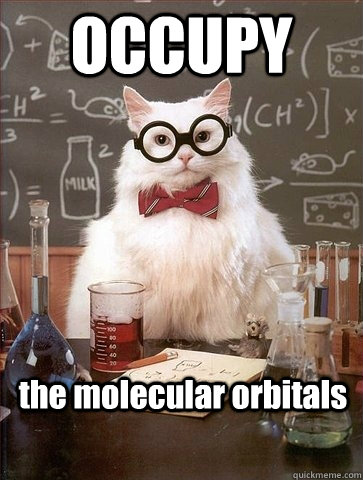 OCCUPY the molecular orbitals - OCCUPY the molecular orbitals  Chemistry Cat