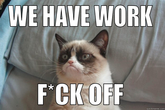 Don't disturb grumpy cat - WE HAVE WORK F*CK OFF Grumpy Cat