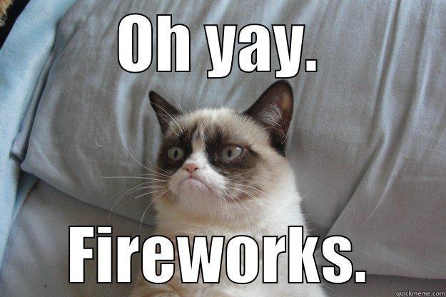 OH YAY. FIREWORKS. Grumpy Cat