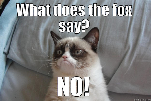 WHAT DOES THE FOX SAY? NO! Grumpy Cat