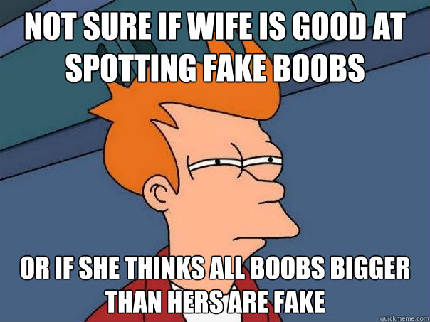 Not sure if wife is good at spotting fake boobs Or if she thinks all boobs bigger than hers are fake  Futurama Fry