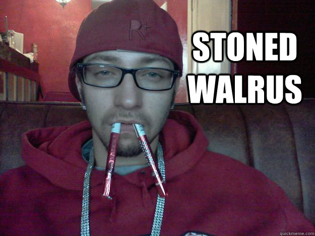 stoned walrus - stoned walrus  stoned walrus