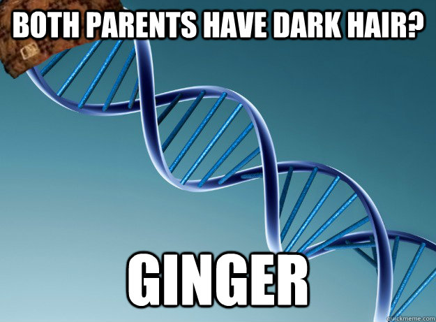 Both parents have dark hair? Ginger  Scumbag Genetics