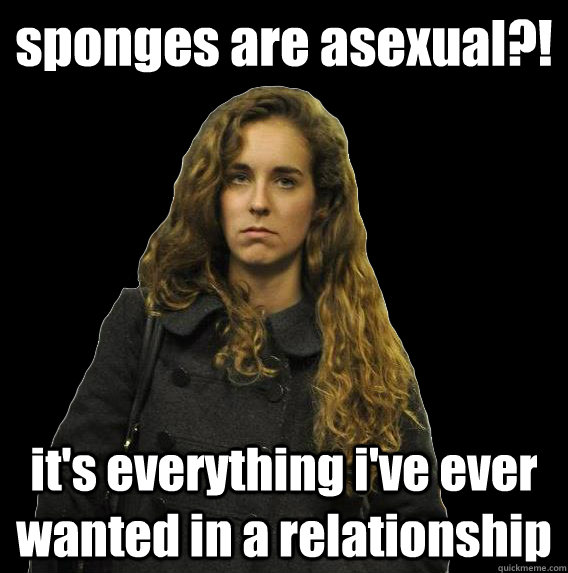 sponges are asexual?! it's everything i've ever wanted in a relationship  