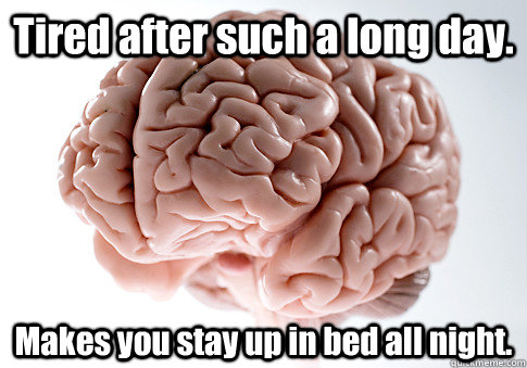 Tired after such a long day. Makes you stay up in bed all night.  - Tired after such a long day. Makes you stay up in bed all night.   Scumbag Brain