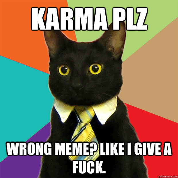 KARMA PLZ WRONG MEME? LIKE I GIVE A FUCK.  Business Cat