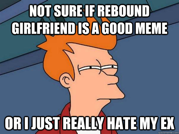 not sure if rebound girlfriend is a good meme or I just really hate my ex - not sure if rebound girlfriend is a good meme or I just really hate my ex  Futurama Fry