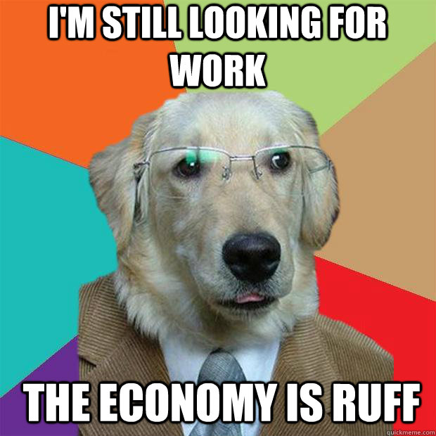 i'm still looking for work the economy is ruff  Business Dog