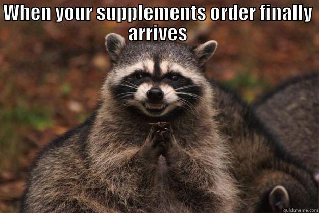 WHEN YOUR SUPPLEMENTS ORDER FINALLY ARRIVES  Evil Plotting Raccoon