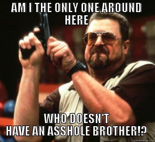 AM I THE ONLY ONE AROUND HERE WHO DOESN'T HAVE AN ASSHOLE BROTHER!? Am I The Only One Around Here