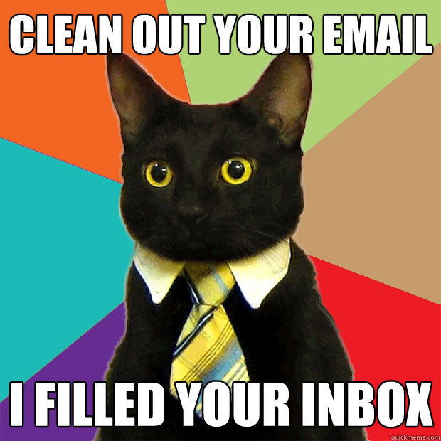 Clean out your email I filled your inbox  Business Cat