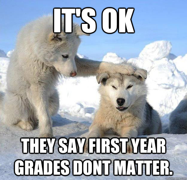 It's Ok They say first year grades dont matter.   Caring Husky