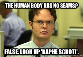 The human body has no seams? False. Look up 'raphe scroti'.  Dwight False