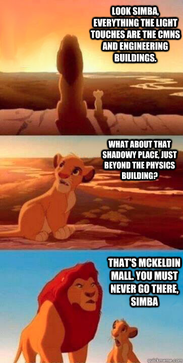 look simba, everything the light touches are the CMNS and engineering buildings. what about that shadowy place, just beyond the physics building? That's McKeldin Mall. You must never go there, simba  SIMBA