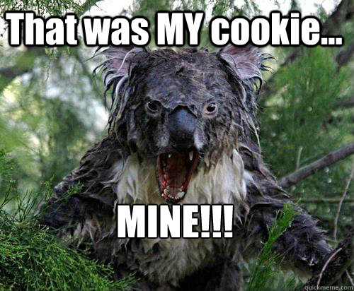 That was MY cookie... MINE!!!  Angry Koala