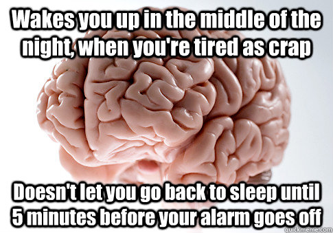 Wakes you up in the middle of the night, when you're tired as crap Doesn't let you go back to sleep until 5 minutes before your alarm goes off  Scumbag Brain