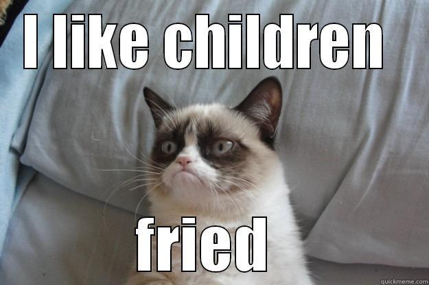 cat  - I LIKE CHILDREN  FRIED  Grumpy Cat