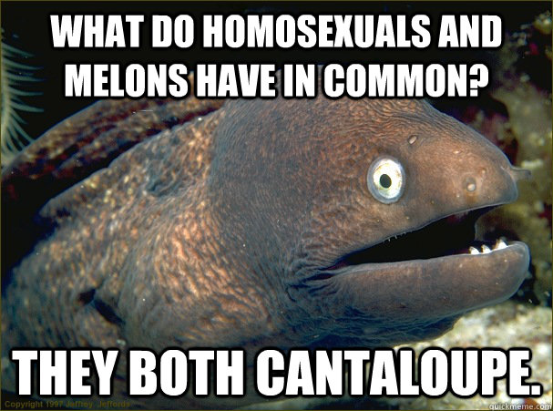 What do homosexuals and melons have in common? They both cantaloupe. - What do homosexuals and melons have in common? They both cantaloupe.  Bad Joke Eel