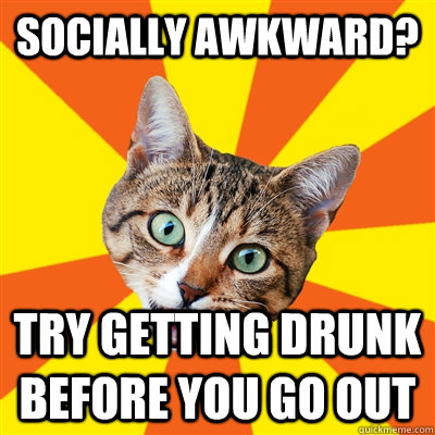 socially awkward? try getting drunk before you go out  Bad Advice Cat