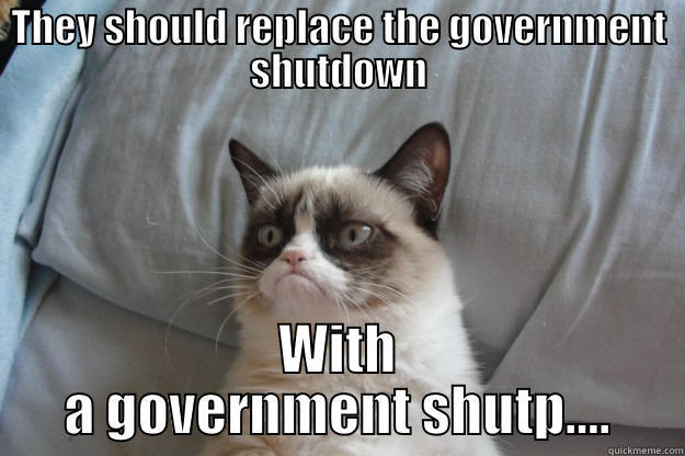 THEY SHOULD REPLACE THE GOVERNMENT SHUTDOWN WITH A GOVERNMENT SHUTP.... Grumpy Cat