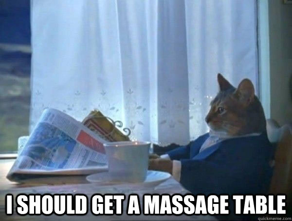  I should get a massage table  morning realization newspaper cat meme