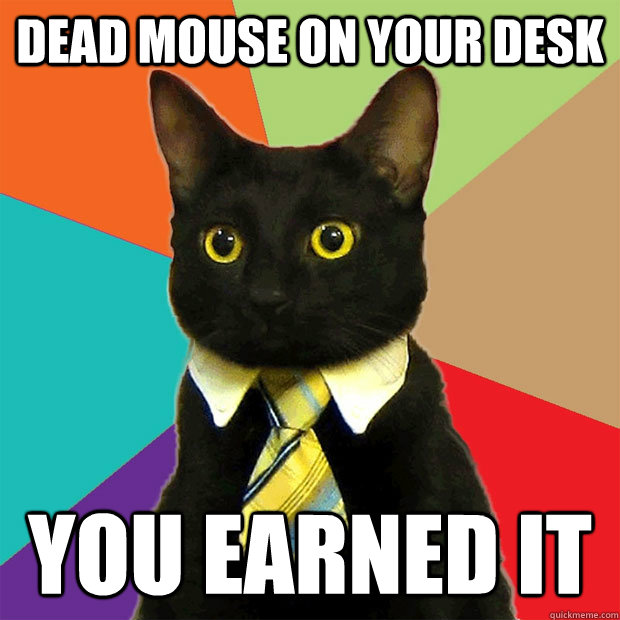 dead mouse on your desk you earned it  Business Cat