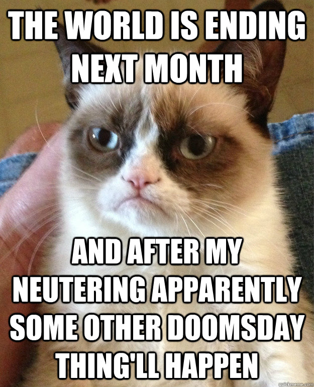 The world is ending next month And after my neutering apparently some other doomsday thing'll happen  Grumpy Cat