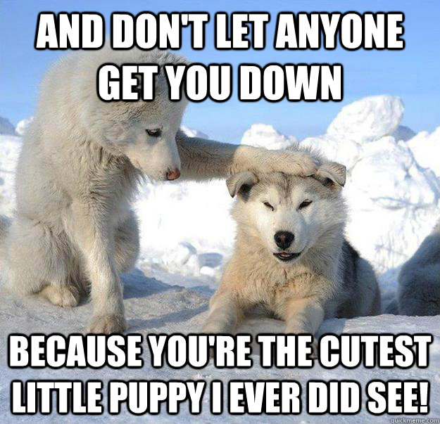 and don't let anyone get you down because you're the cutest little puppy i ever did see!  Caring Husky