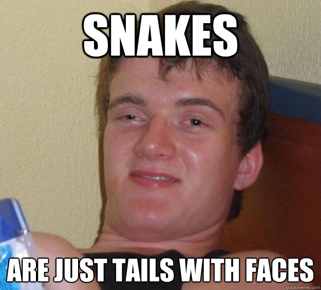 Snakes Are Just Tails With Faces  10 Guy