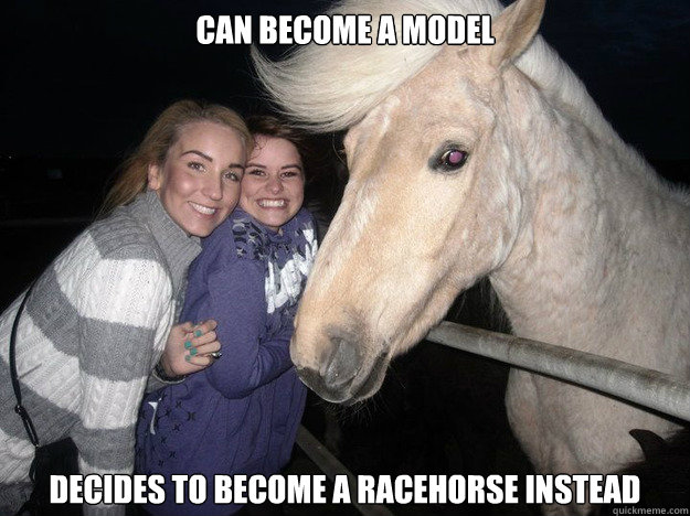 can become a model decides to become a racehorse instead  Ridiculously Photogenic Horse