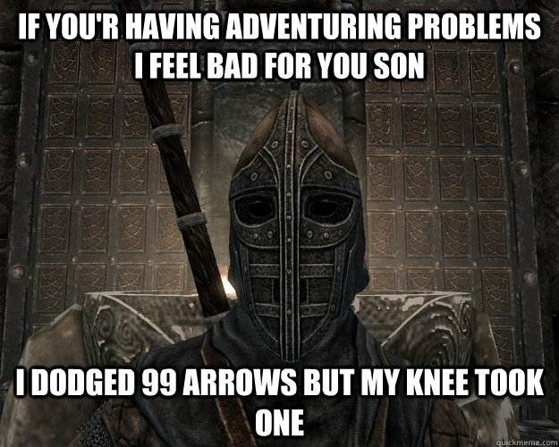 If you'r having adventuring problems i feel bad for you son i dodged 99 arrows but my knee took one  Skyrim City Guard