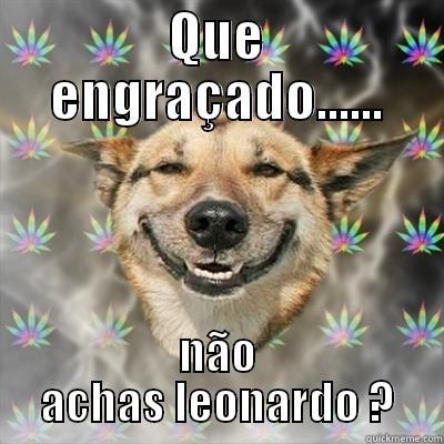 QUE ENGRAÇADO...... NÃO ACHAS LEONARDO ? Stoner Dog