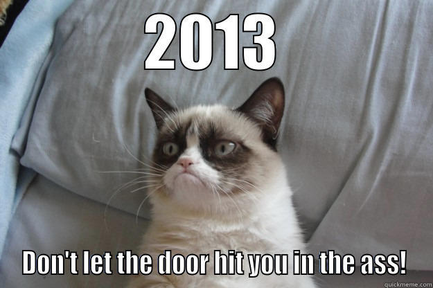 2013 DON'T LET THE DOOR HIT YOU IN THE ASS! Grumpy Cat