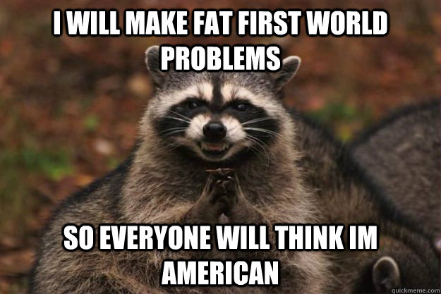 i will make fat first world problems so everyone will think im american  Evil Plotting Raccoon