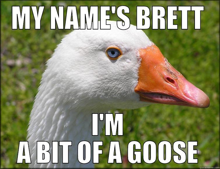 MY NAME'S BRETT I'M A BIT OF A GOOSE Misc