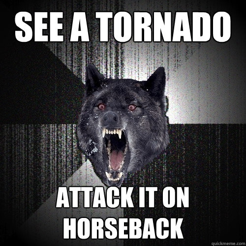 See a tornado ATTACK IT ON HORSEBACK  Insanity Wolf