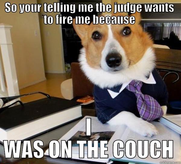 SO YOUR TELLING ME THE JUDGE WANTS TO FIRE ME BECAUSE I WAS ON THE COUCH Lawyer Dog