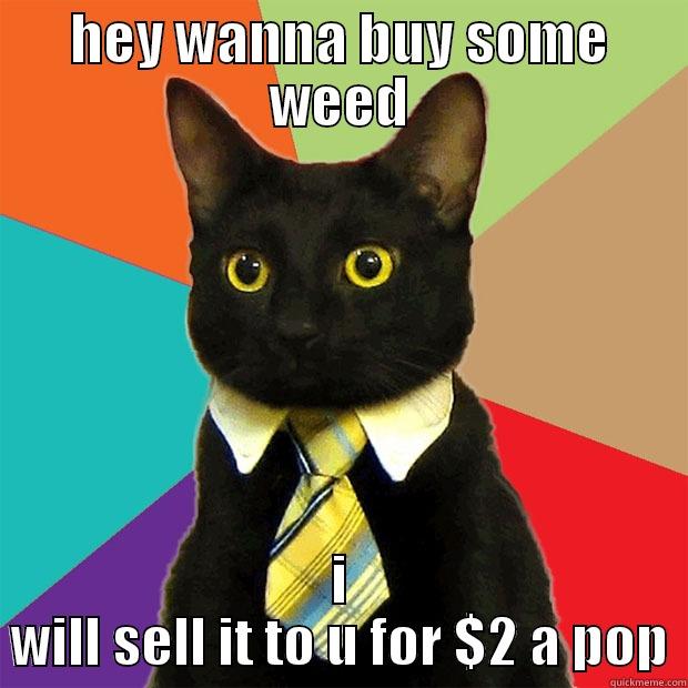 HEY WANNA BUY SOME WEED I WILL SELL IT TO U FOR $2 A POP Business Cat