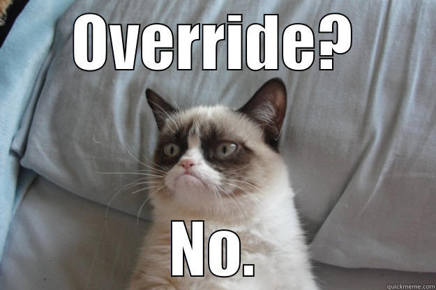 OVERRIDE? NO. Grumpy Cat